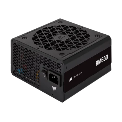 Corsair RM650E - 650 WATT 80 Plus Gold Certified Fully Modular Power Supply (3Y WARRANTY)