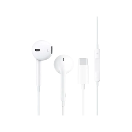 WIWU EARBUDS 303 TYPE-C (WHITE) (3M WARRANTY)